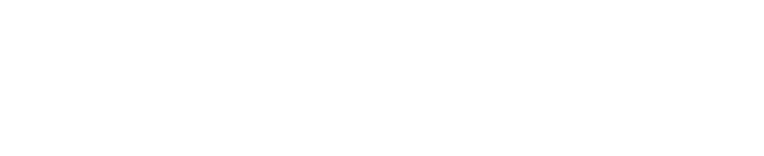 Paris Experience Group